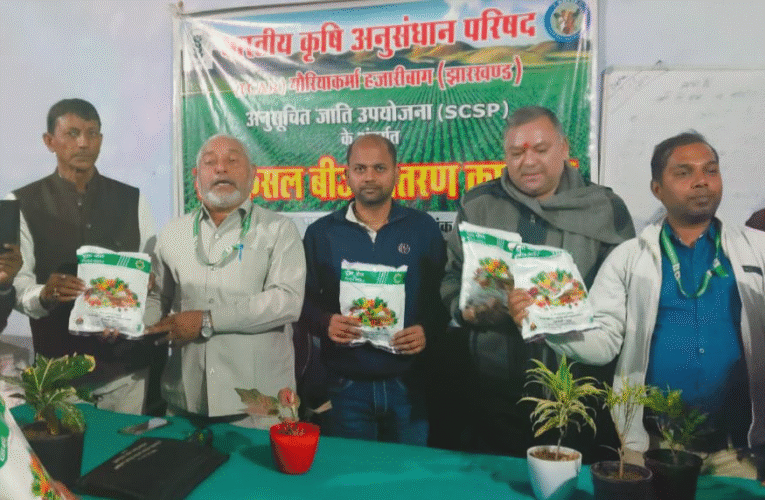 किसानों के बीच उन्नत किया गया बीजों का वितरण