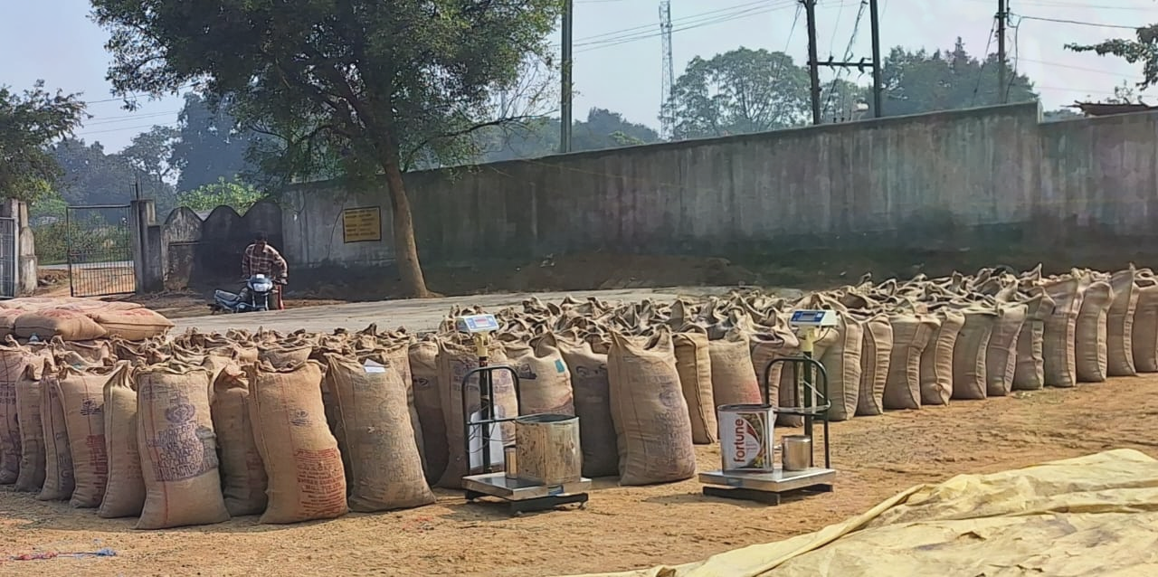 so-far,-64,298-quintals-of-paddy-has-been-procured