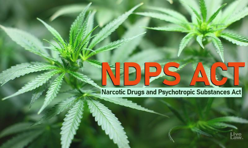 youyh-arrested-with-chitta