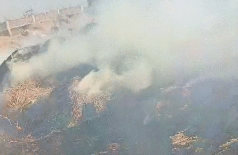 खलिहान में आग लगने से किसानों को हुआ नुकसान