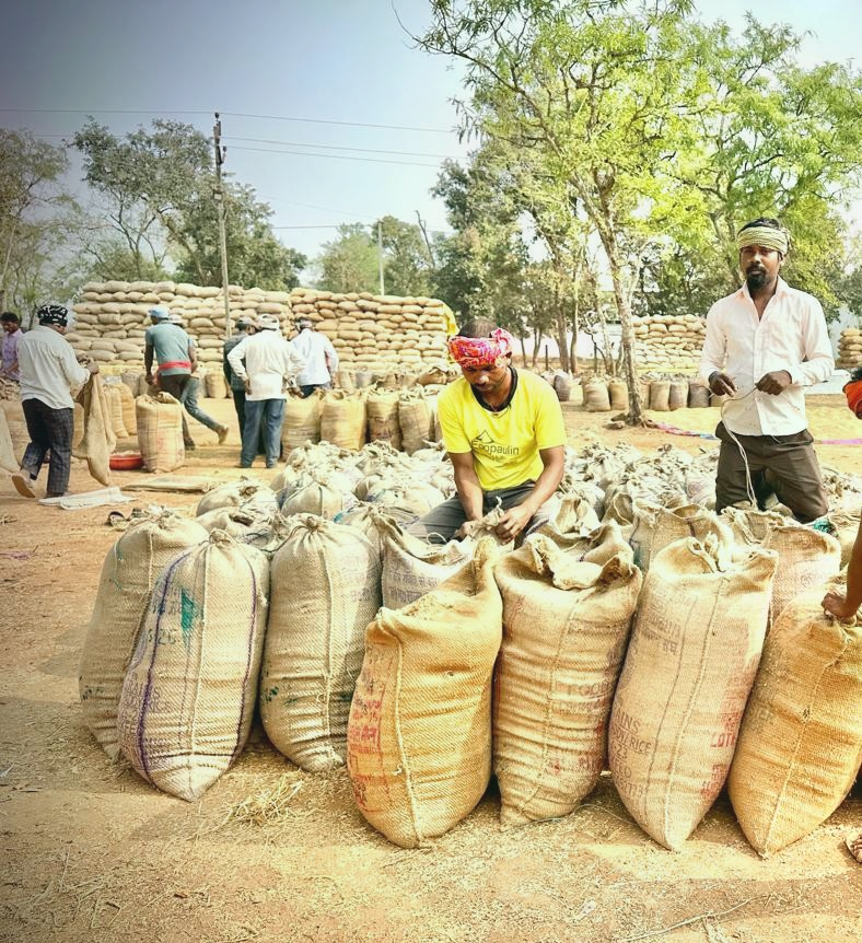 1.17-lakh-metric-tons-of-paddy