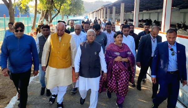 राज्यपाल पटेल ने किया गौवंश का पूजन मुरारीलाल तिवारी गौशाला का किया भ्रमण