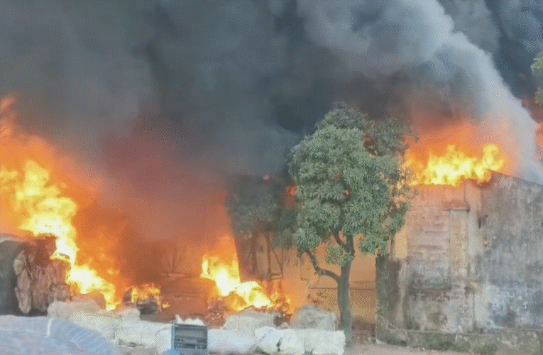 कचरा गोदाम में लगी भीषण आग, मची अफरा-तफरी
