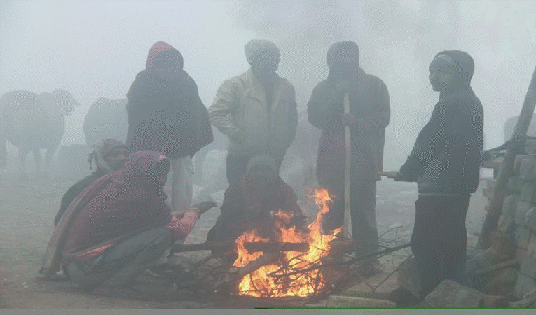 मध्‍य प्रदेश में सर्दी ने तोड़े रिकॉर्ड, इंदौर बना पचमढ़ी जैसा ठंडा, भोपाल में तापमान 7 डिग्री से नीचे