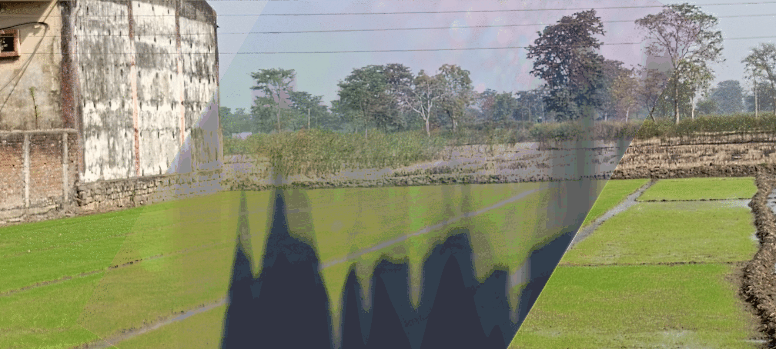 preparation-rabi-crop-cg-dhamtari