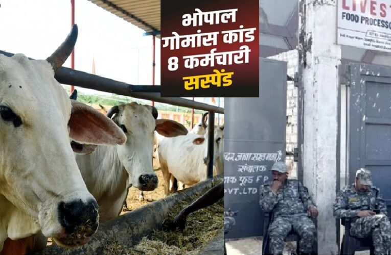 भोपाल स्लॉटर हाउस गौमांस प्रकरण में जांच तेज, अब तक 8 नगर निगम कर्मचारी निलंबित