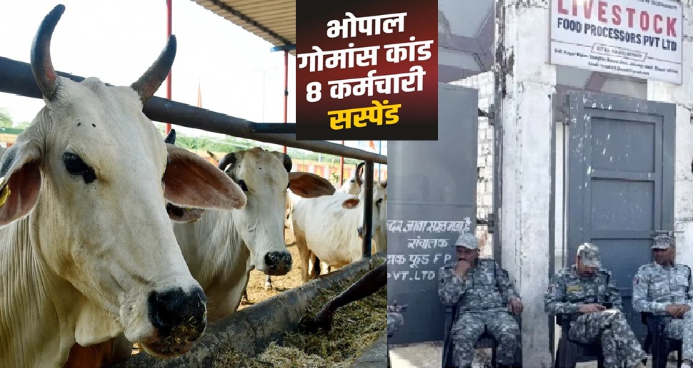 bhopal-slaughterhouse-beef-cas