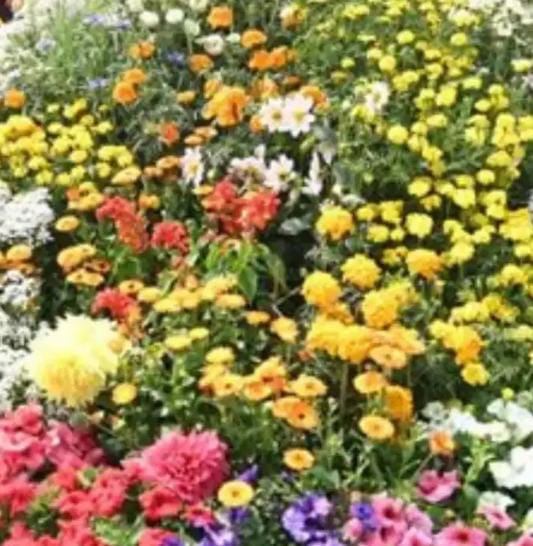 up-prayagraj-exhibhiton-udhyan