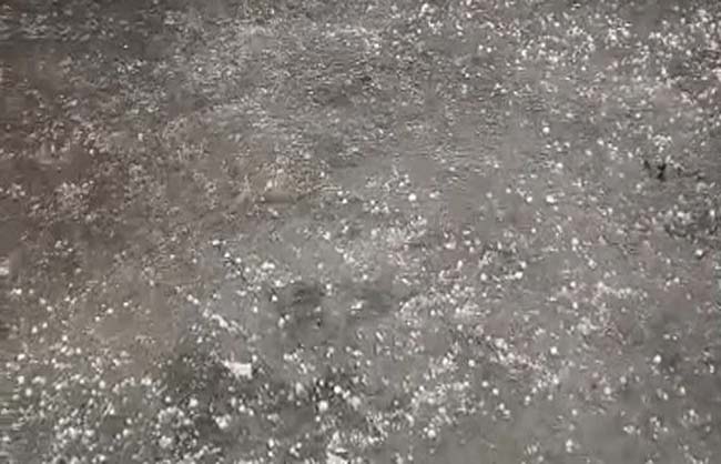 nnl-hailstorm-worries-farmers