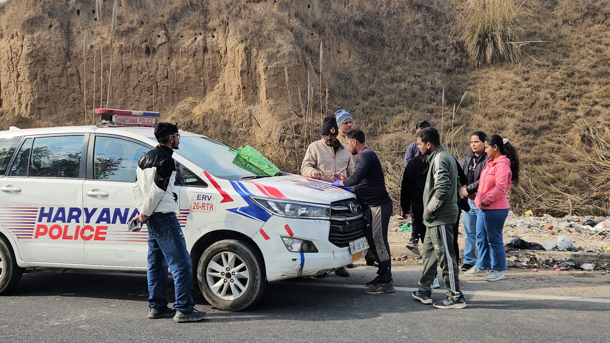 more-than-two-dozen-street-dogs-found-dead-near-su