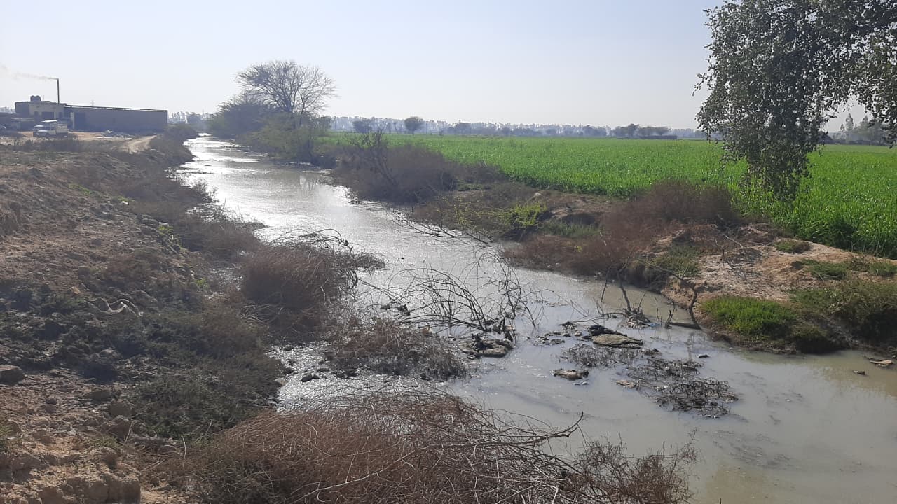 contaminated-water-from-paneer-and-petha-factories