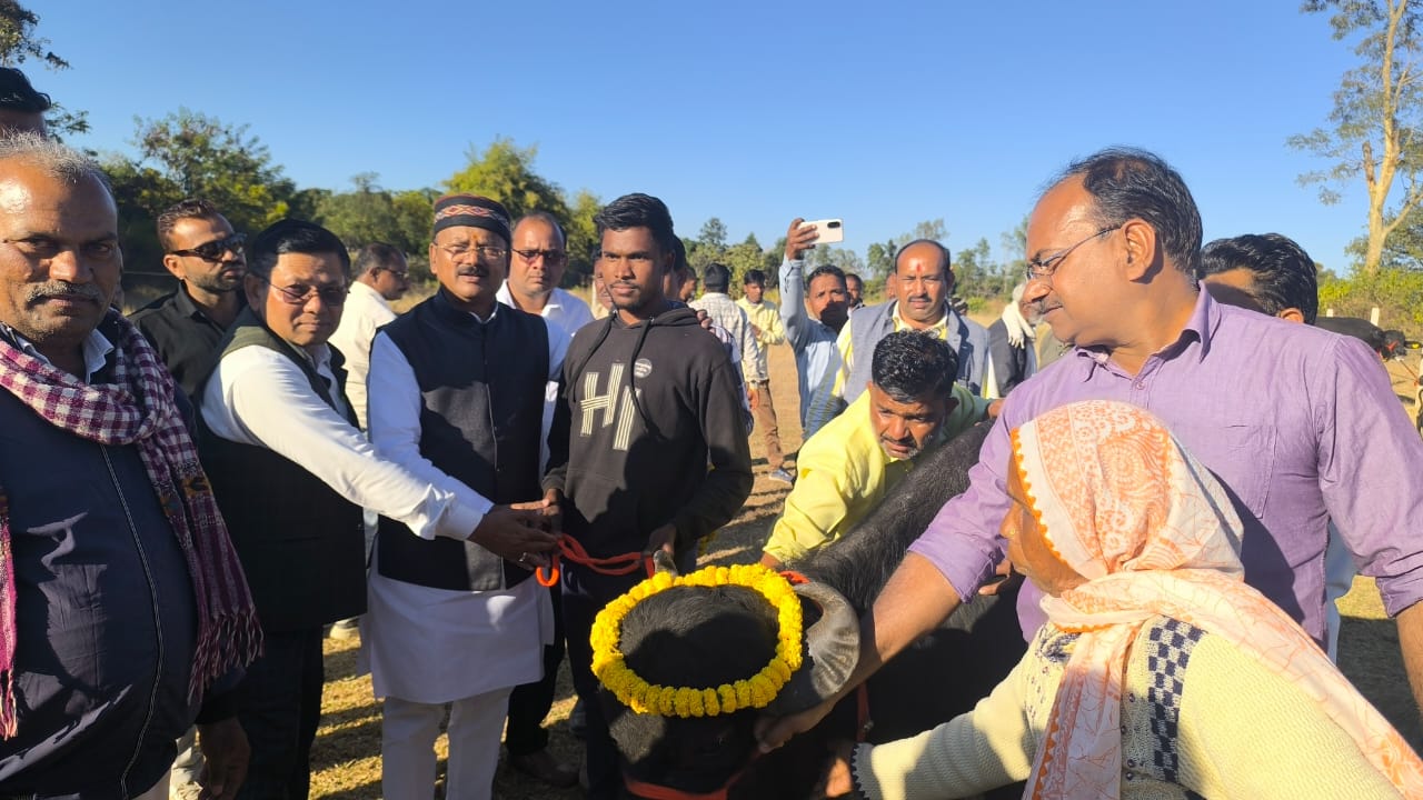 mp-dairy-livestock-distributed