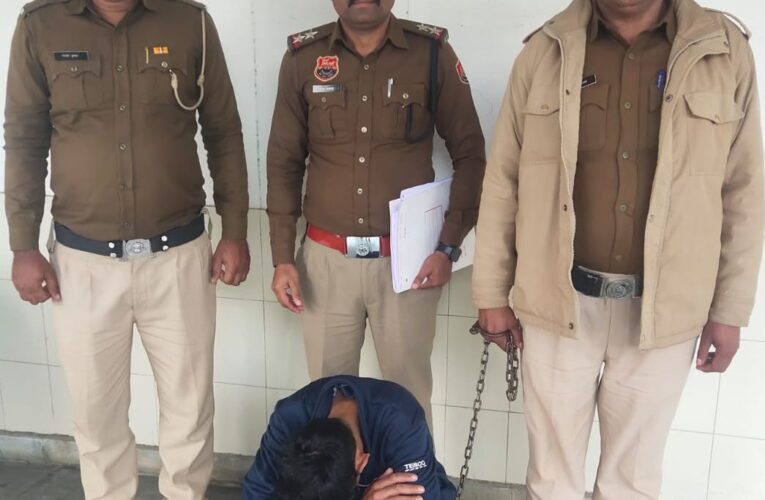 कैथल: डुल्यानी गांव में पत्नी की हत्या करने वाला युवक गिरफ्तार