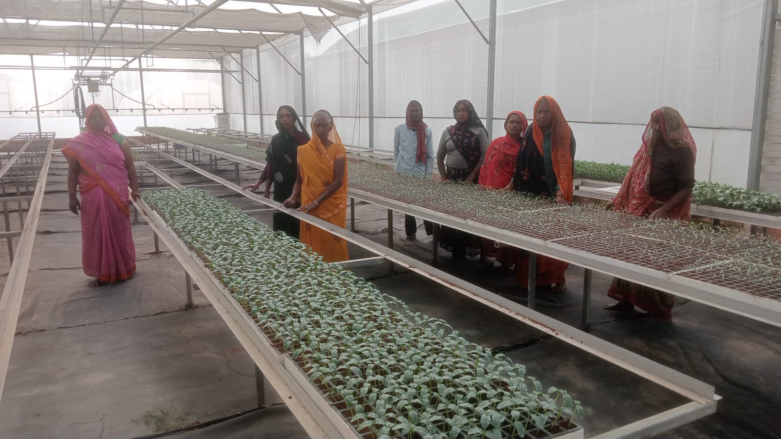 up-prayagraj-vegtables-behan