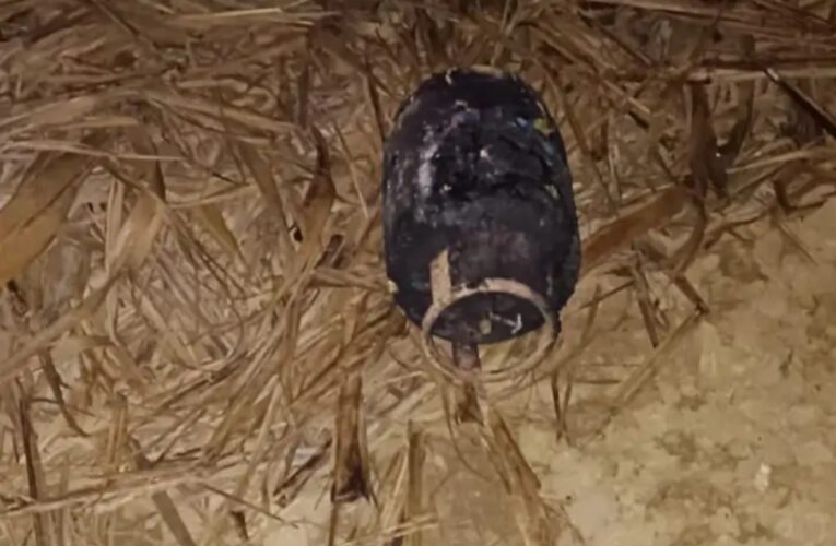 गैस रिसाव से लगी आग, मजदूर की जलकर मौत