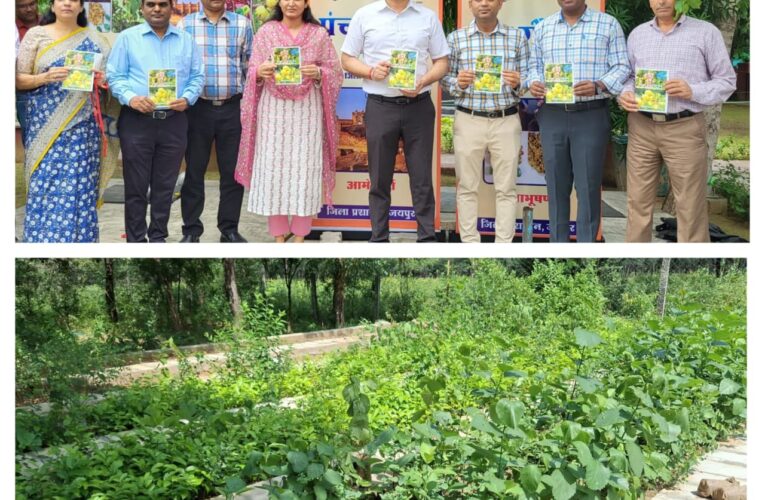 जयपुर में पर्यावरण संरक्षण एवं अर्थव्यवस्था सुदृढ़ीकरण का पर्याय बन रहा लिसोड़ा