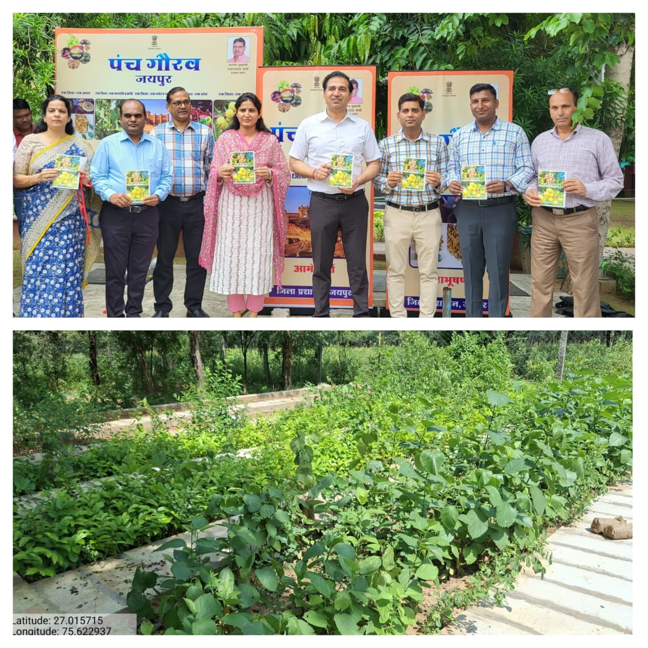 environment-conservation-economy-lisoda