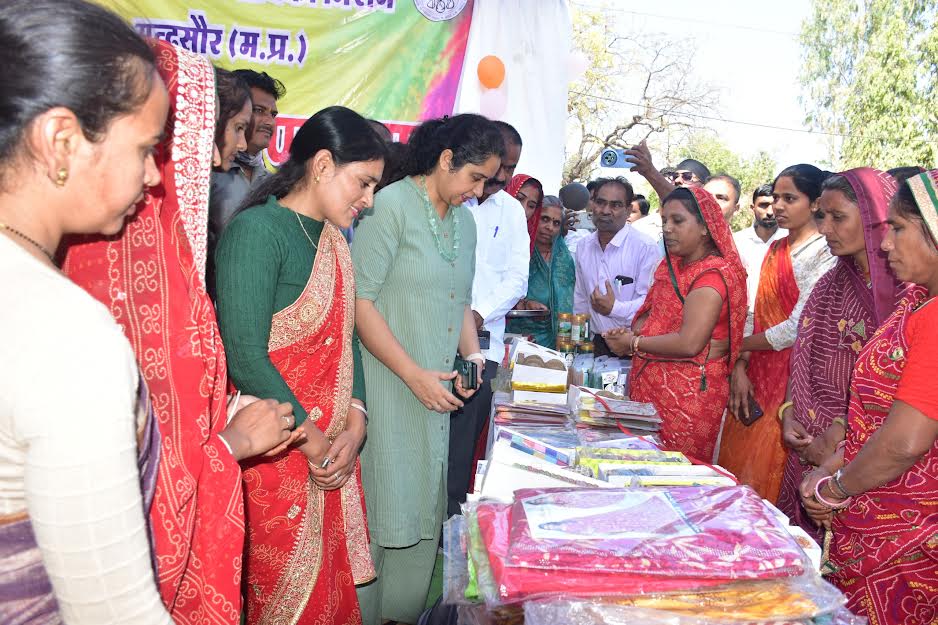 collector-inaugurated-mandsaur