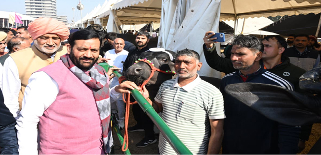 jhajjar-karnal-sonipat-hisar-