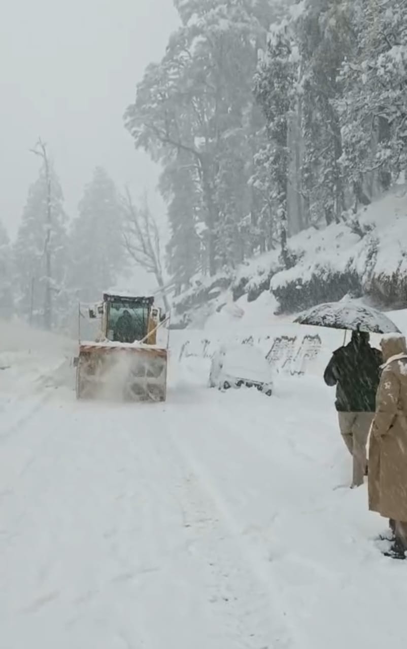 ll-snowfal-manali-rohtang