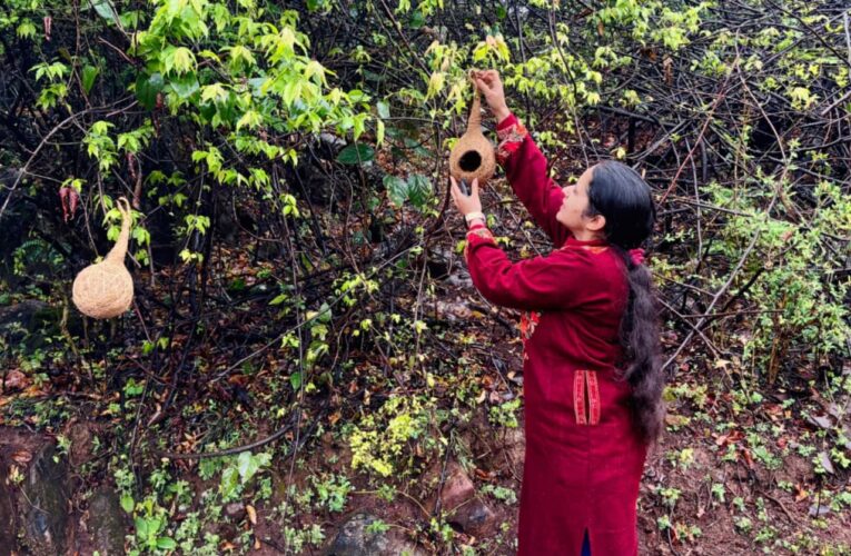 विश्व गौरैया दिवस पर क्षेत्रीय प्रयोगशाला सुंदरनगर की विशेष पहल