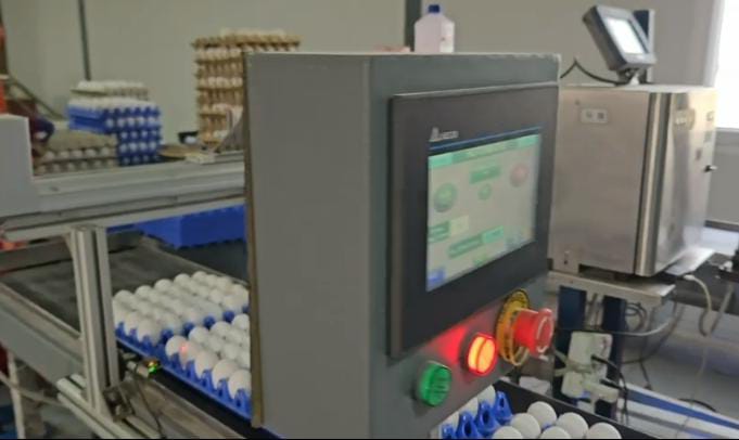 up-prayagraj-egg-nambar-printi