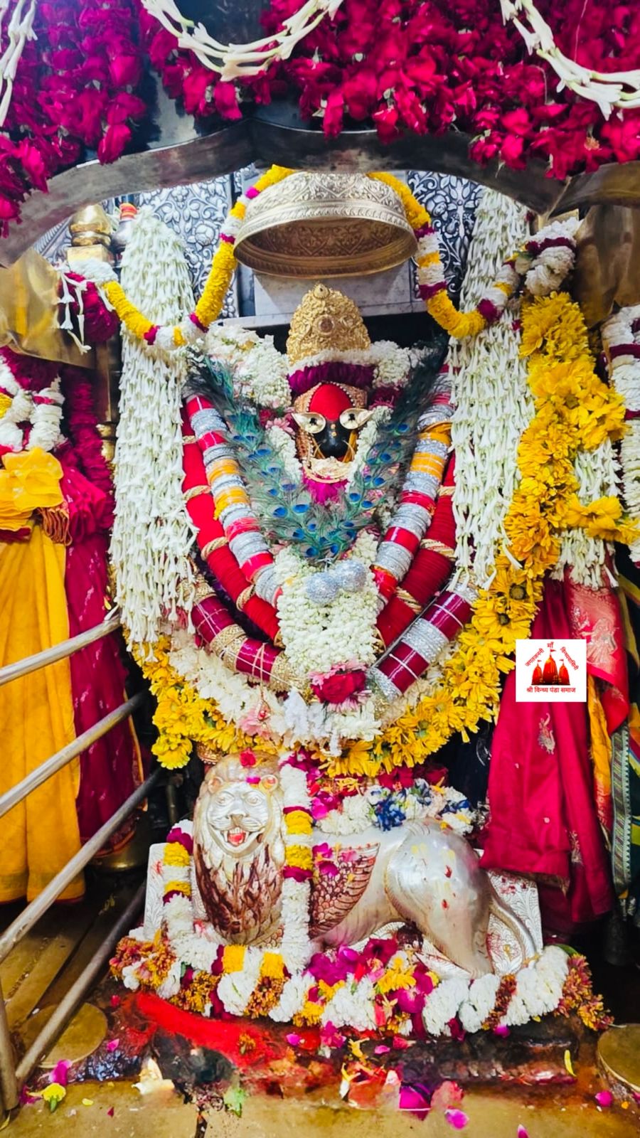 up-faith-in-vindhyadham-navrat