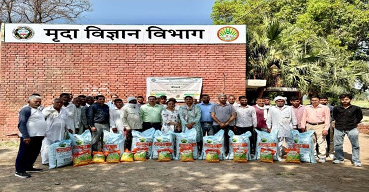 field-day-program-organized