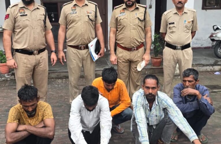 यमुनानगर पुलिस की बड़ी कार्रवाई, चोर गिरोह का पर्दाफाश, छह गिरफ्तार
