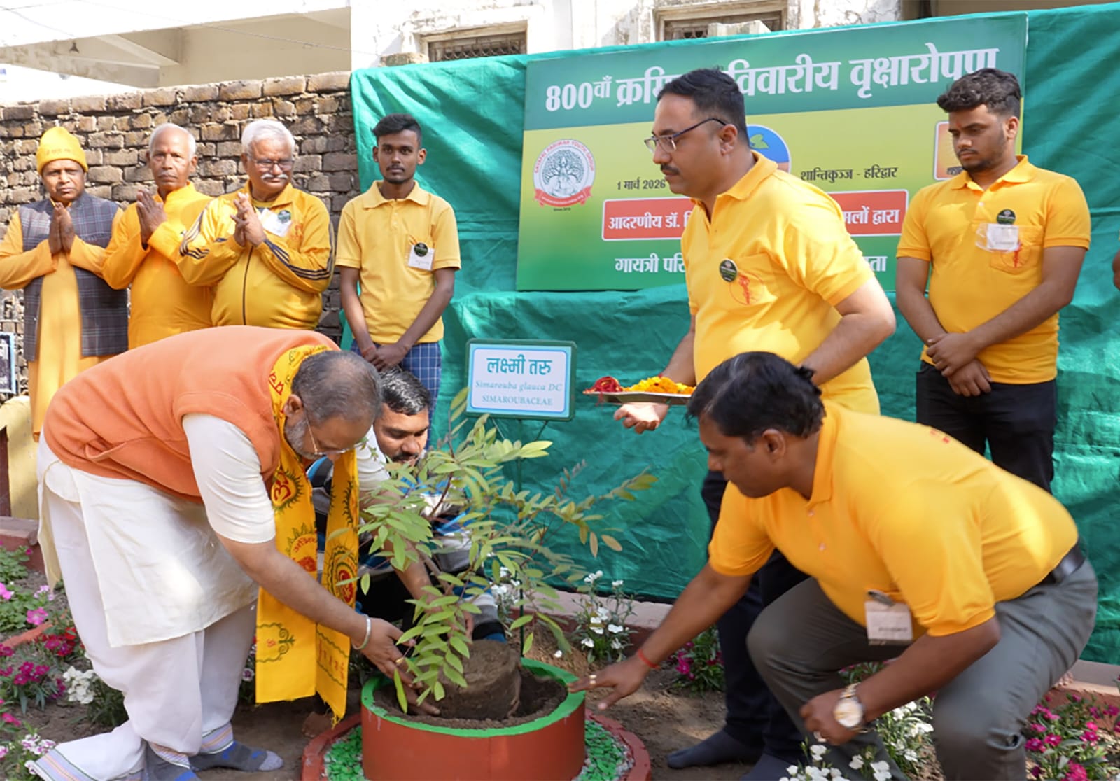 uk-shantikunj-tree-plantation