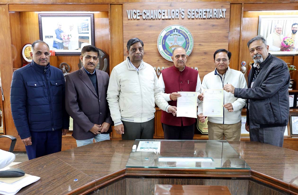 patent-awarded-for-bee-hive