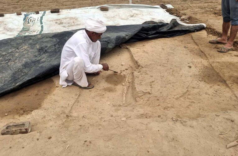 हिसार : राखीगढ़ी के टीले पर खुदाई के दौरान मिला कंकाल