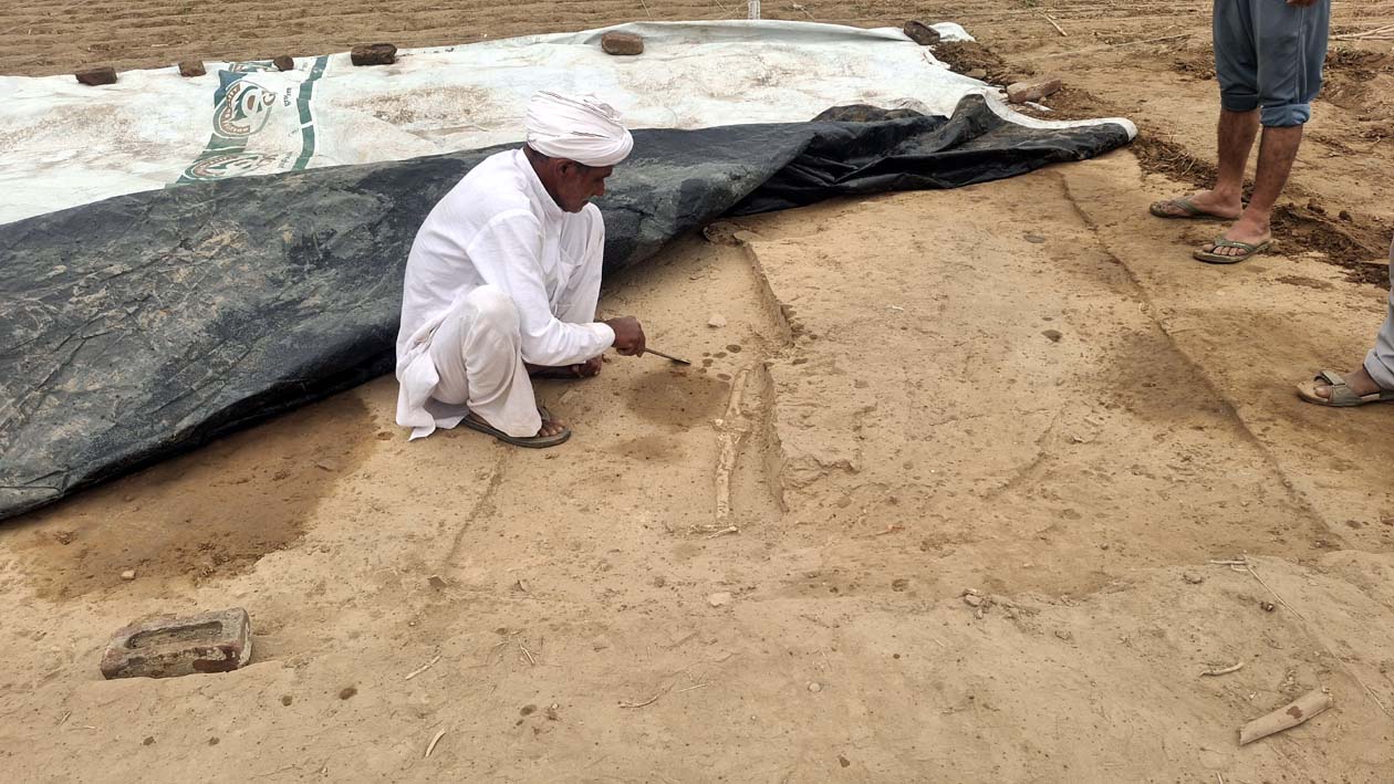 skeleton-found-during-excavati