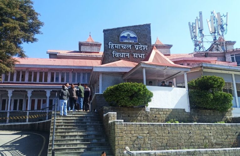 मुख्यमंत्री की पत्नी विधायक कमलेश ठाकुर ने सराहा सरकार का बजट