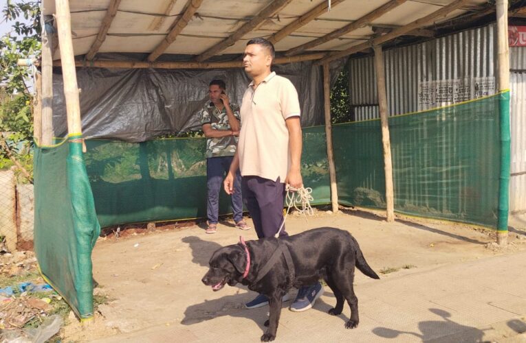 अंबिकापुर : रिंग रोड पर महिला की नृशंस हत्या, इलाके में सनसनी