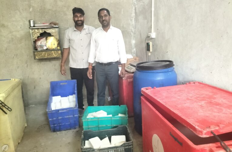 जयपुर में फूड सेफ्टी टीम ने करवाया 250 किलो संदिग्ध पनीर नष्ट