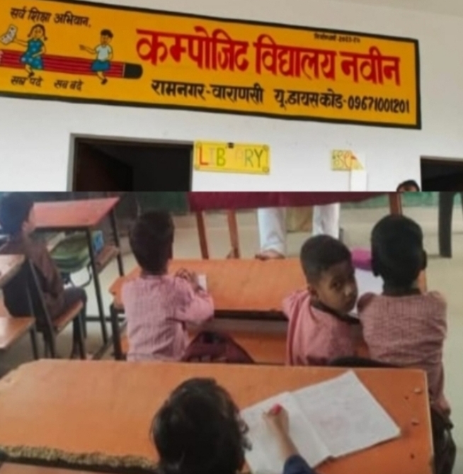 up-composite-school-gov-bsa