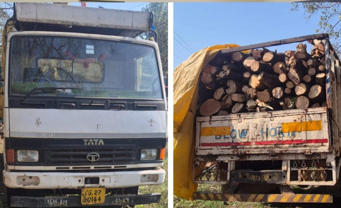 7-stacks-illegal-firewood-tata-vehicle-seized