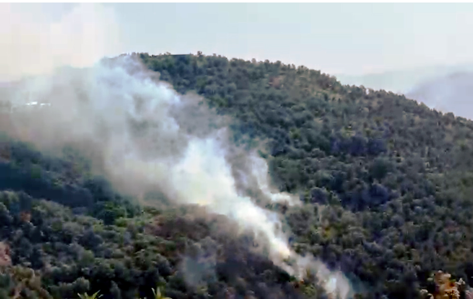 massive-forest-fire-near-naini