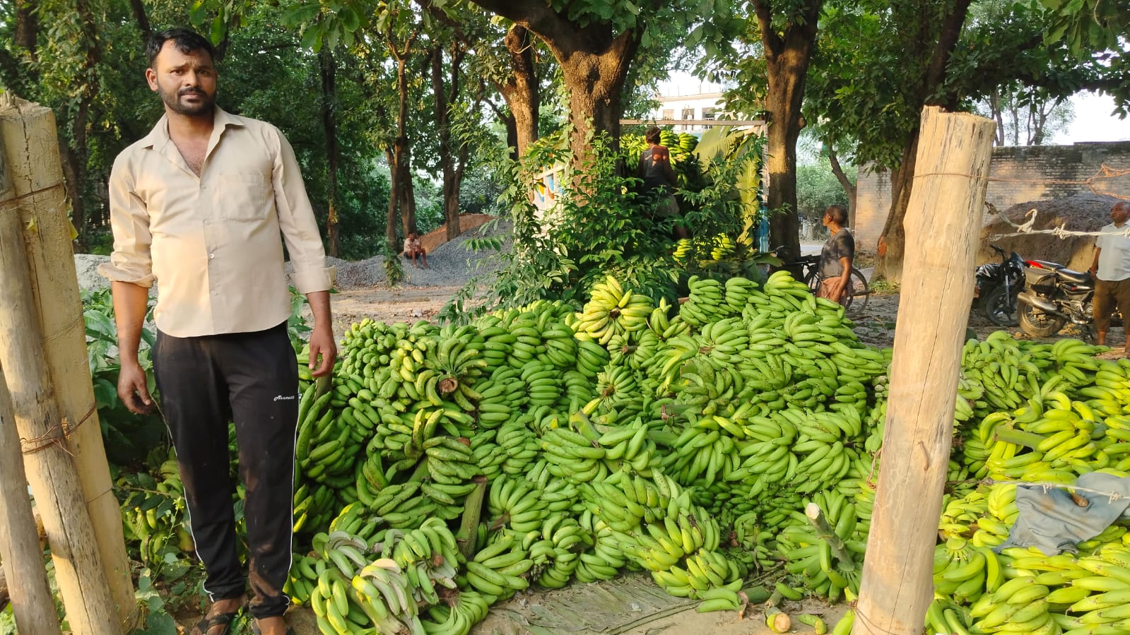 up-farmers-banana-crap-