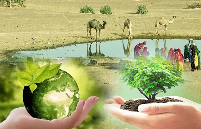 ---------------------