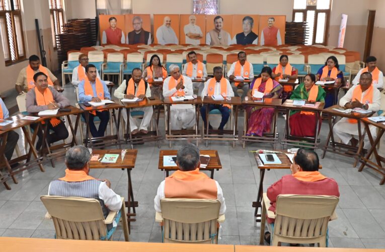 झारखंड के सभी जिलों में 17 अप्रैल को बिजली के मुद्दे पर भाजपा करेगी बड़ा प्रदर्शन