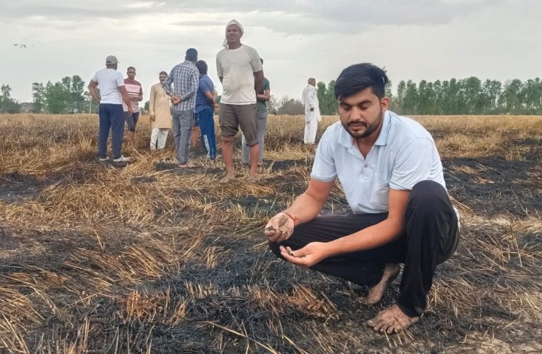 जींद : आग लगने से तीन एकड़ गेहूं की फसल जली