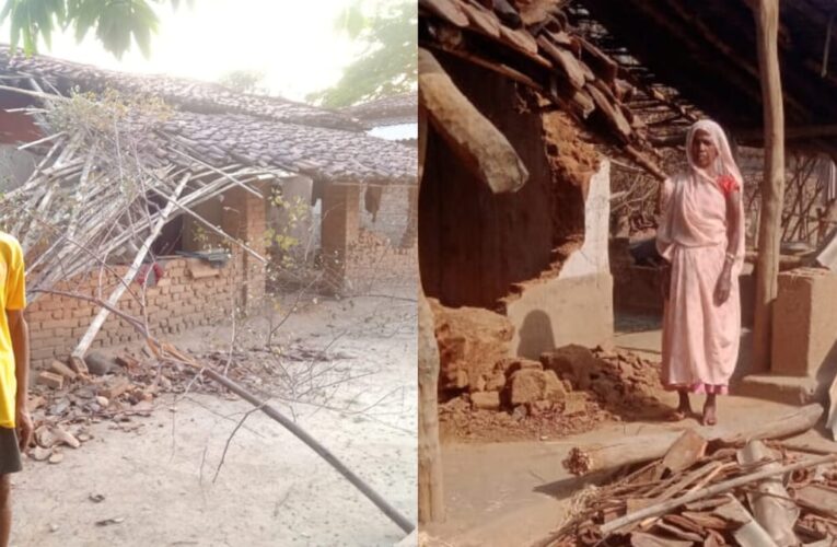 अनूपपुर: जिले में हाथियों का उपद्रव जारी, घरों में तोड़फोड़ कर फसलों को पहुंचा रहे नुकसान