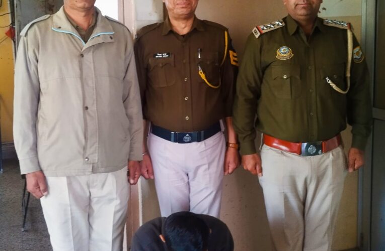शिमला : साढ़े 3 माह में ड्रग्स तस्करी के 100 मामले दर्ज, 214 तस्कर गिरफ्तार, सरगना भी दबोचे