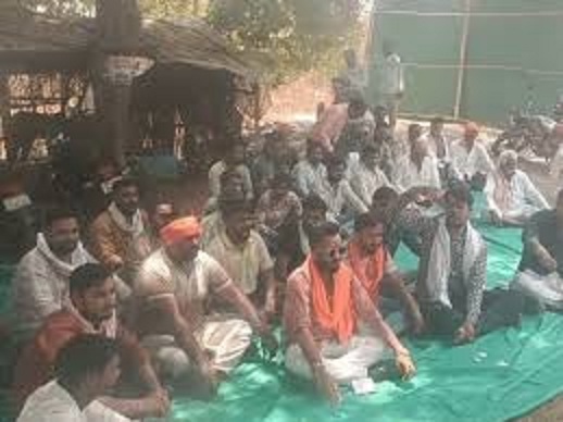 cows-stray-from-harda-ashram-onto-railway-tracks-t