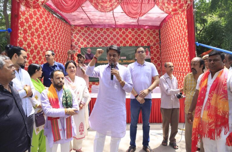 एनडीएमसी के उपाध्यक्ष ने पौधारोपण कर दिया पर्यावरण संरक्षण का संदेश