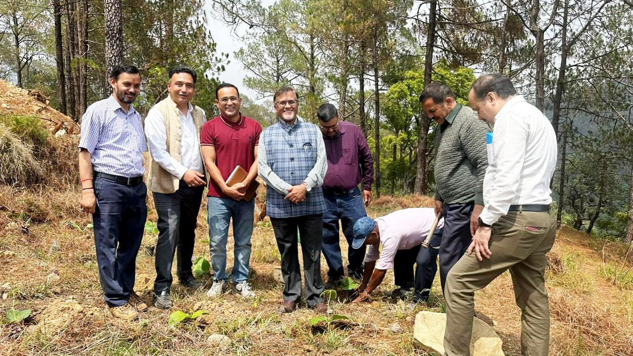 patwa-garden-established