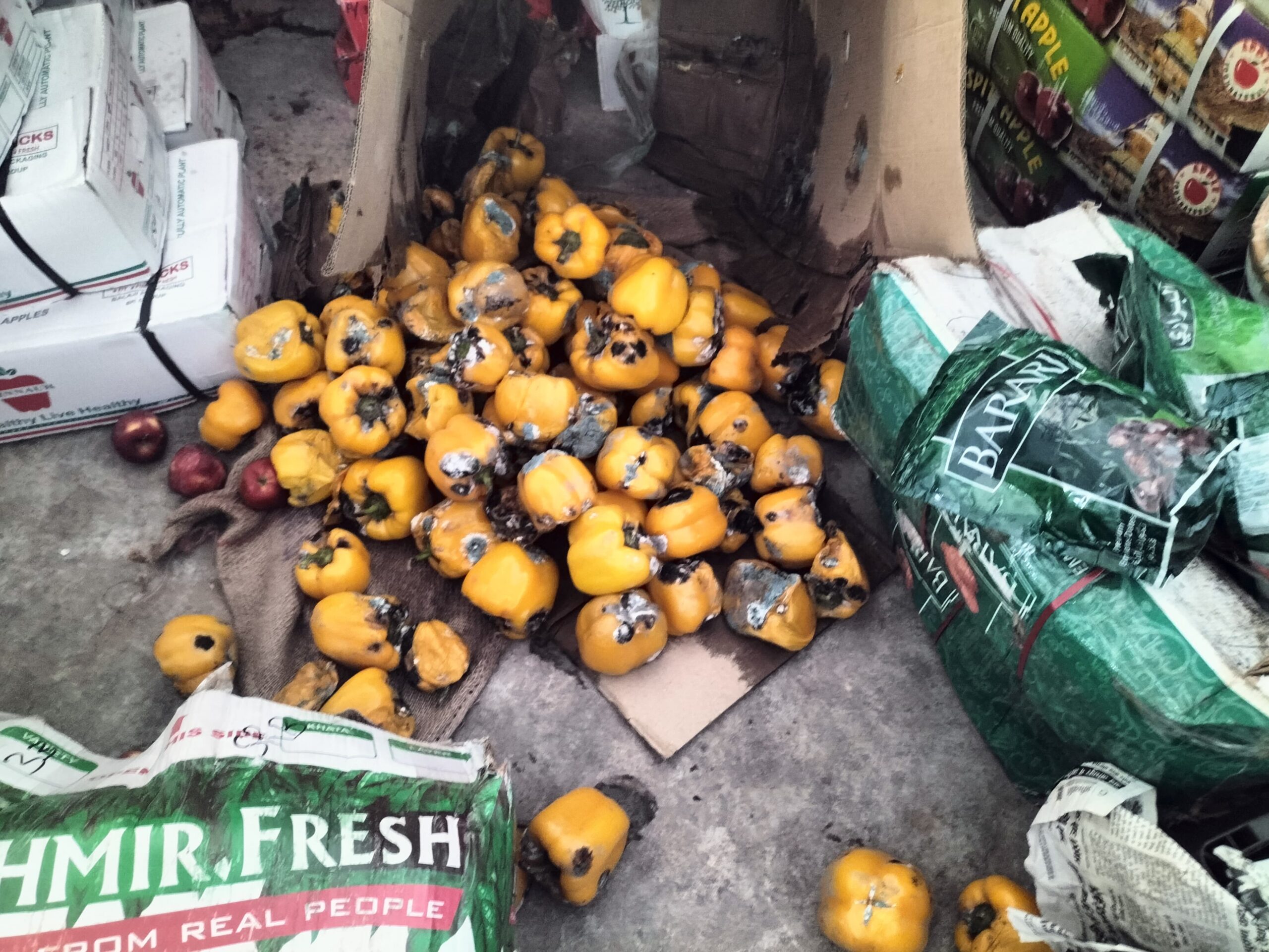 mandi-fruits-dates-destroyed