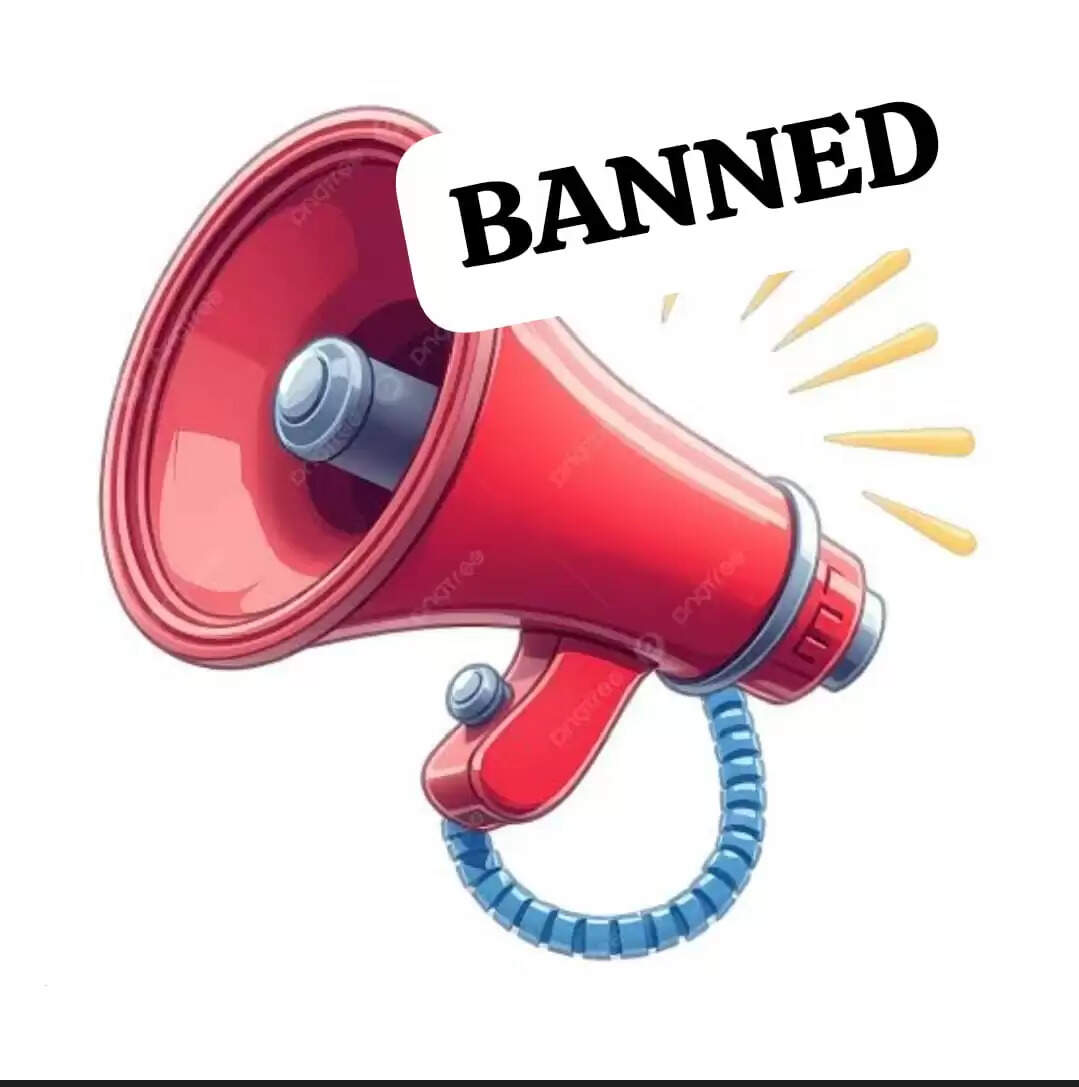 -elections-2026-election-constituency-noise-contro